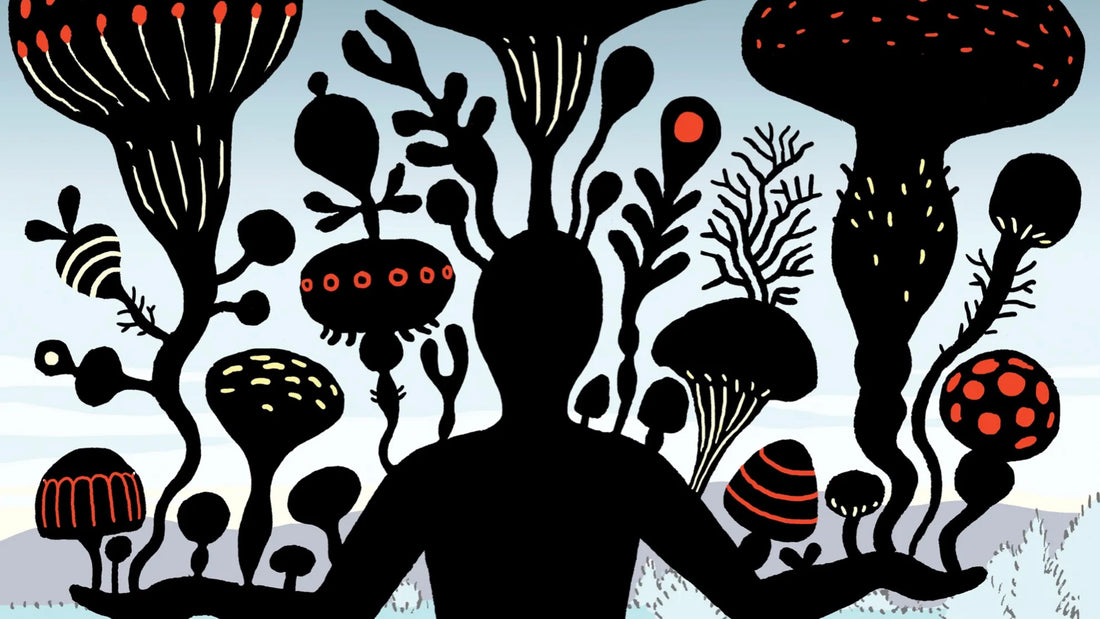 fungi mycelium innovation and technology