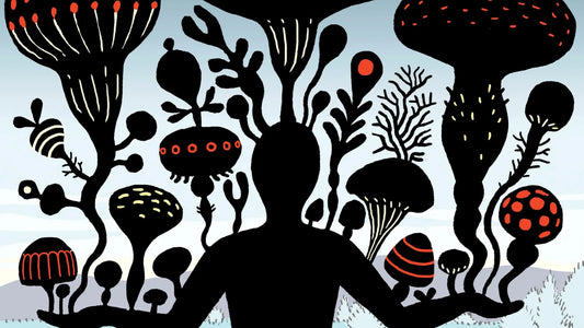 fungi mycelium innovation and technology