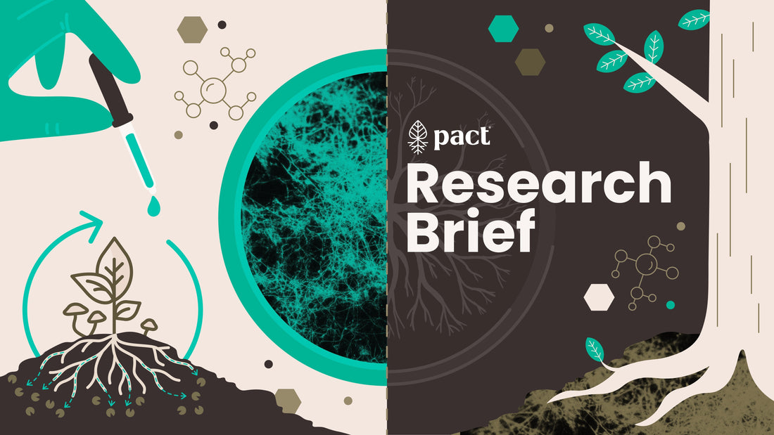How Stropharia Supports Ecosystem Health