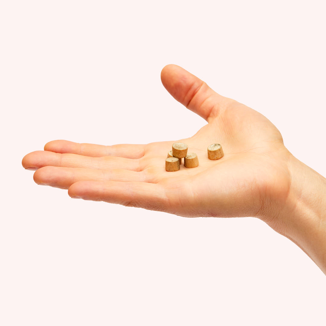 PACT Mycelium Tabs (120-Pack)