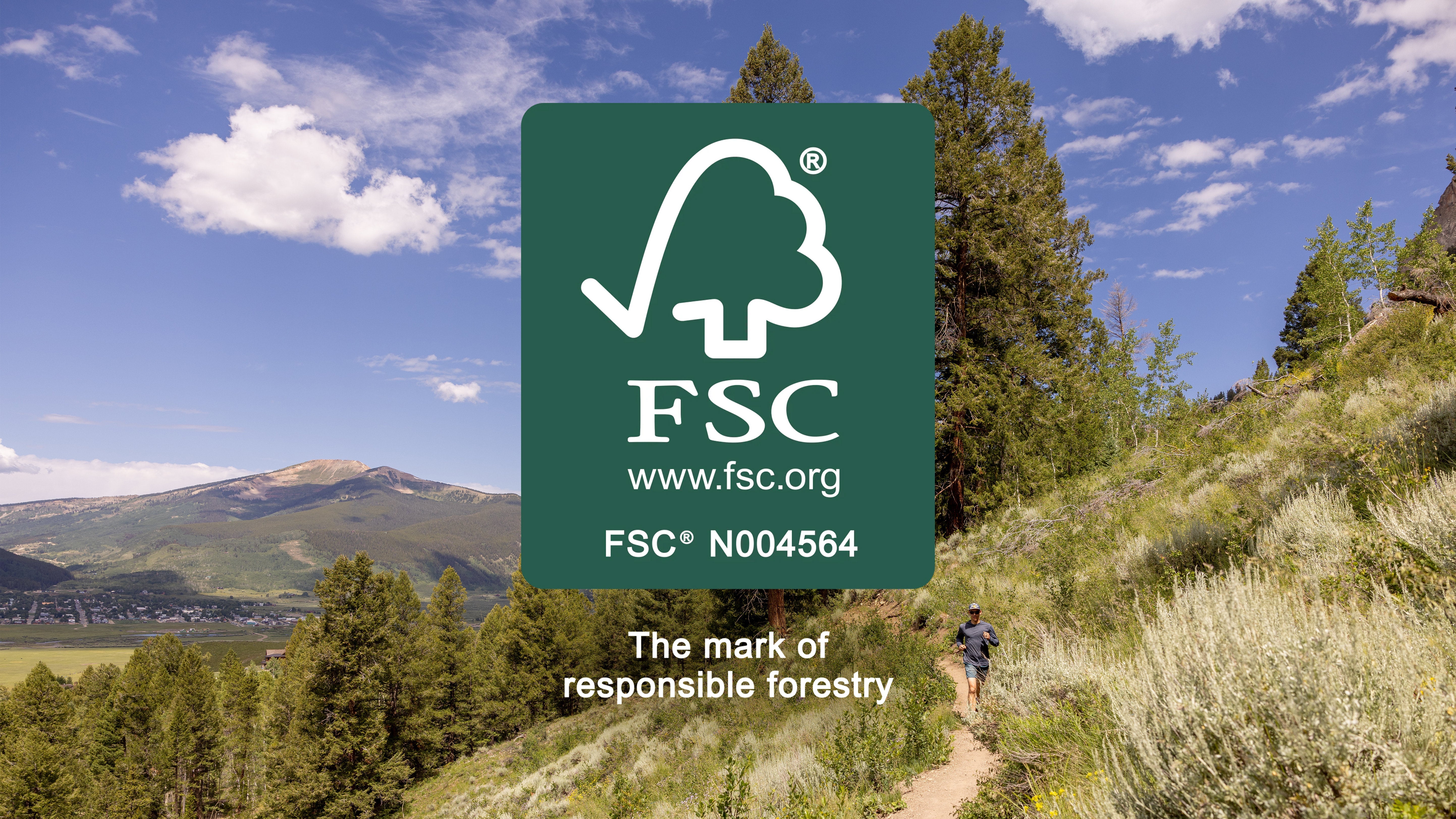 Gunnison National Forest in the summer time with PACT's FSC logo overlaid on the image
