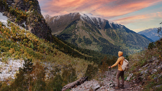 Mycoremediation and the Decomposition of Human Waste