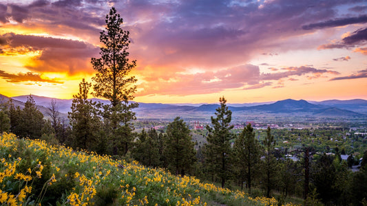 Our Partnership With The Continental Divide Trail Coalition