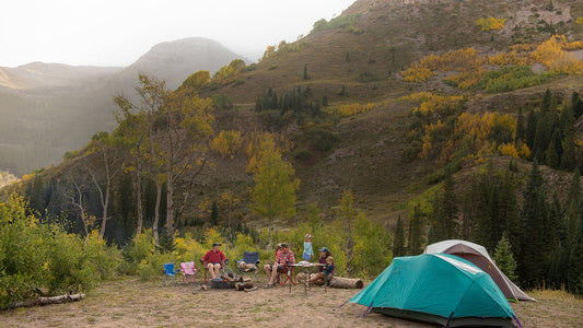 Family camping in the woods