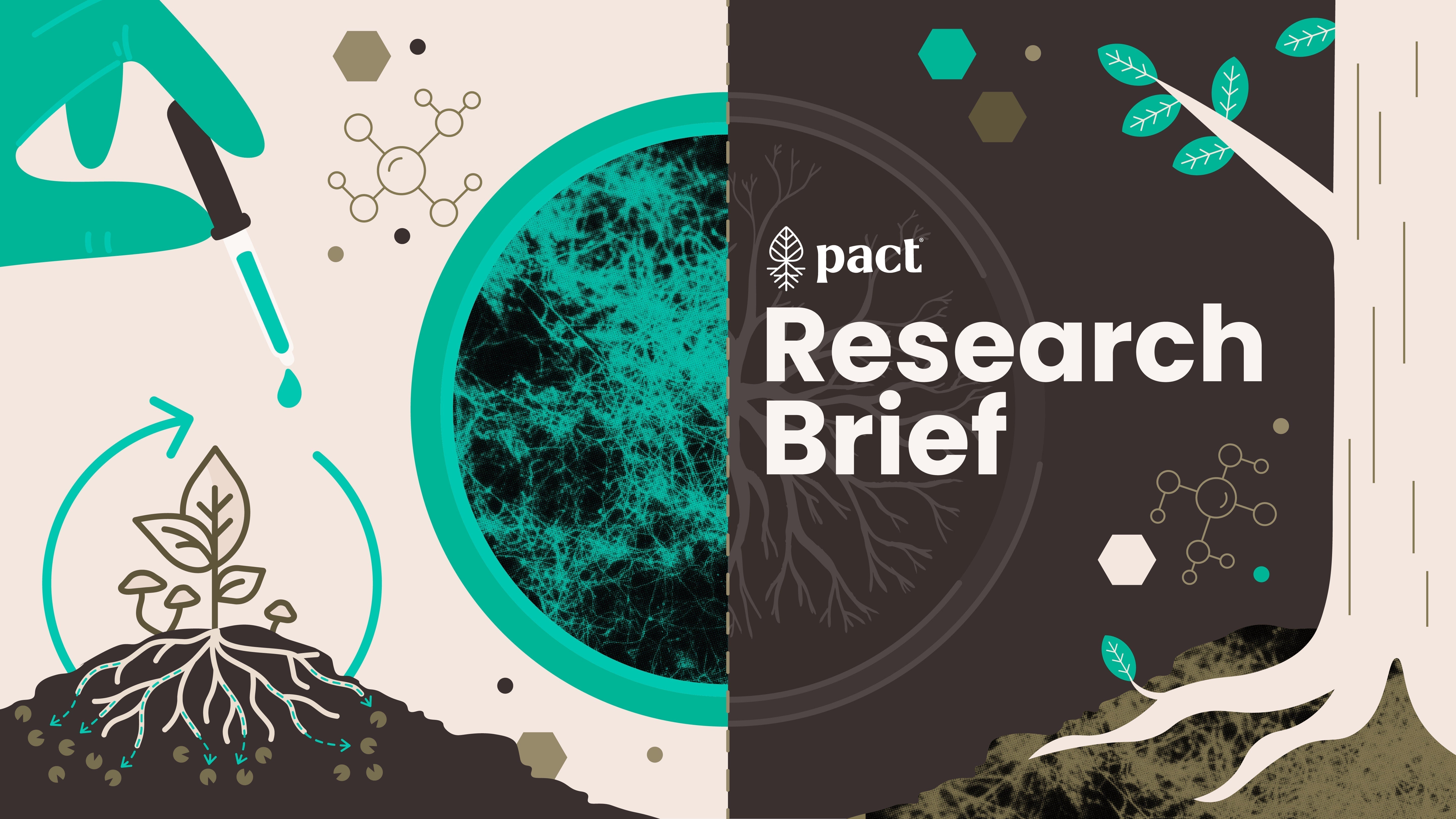 How Stropharia Supports Ecosystem Health